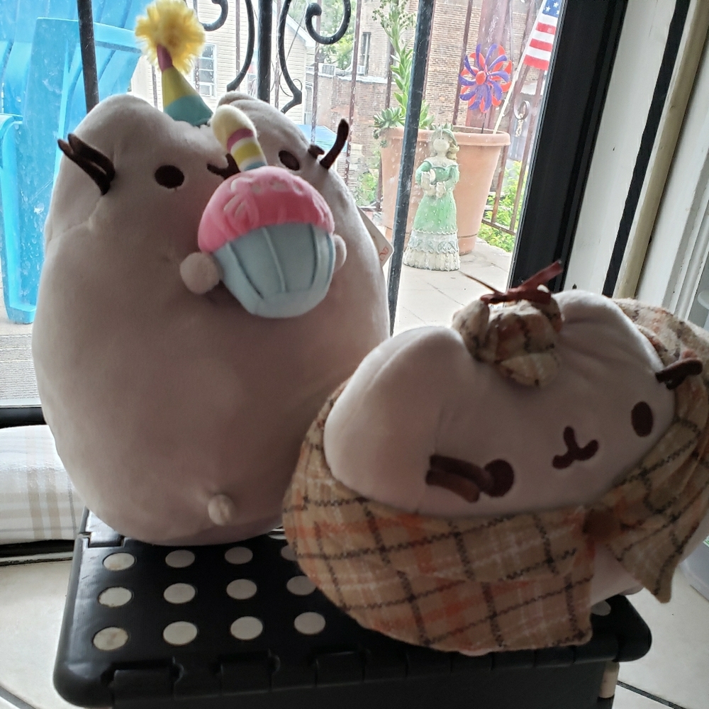 Pusheen beautiful Gray chubut cat. Two toys